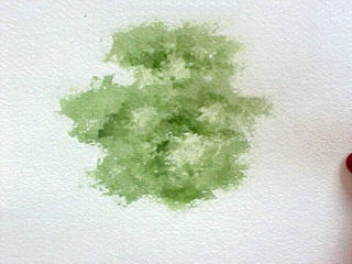 320x240 How To Paint Trees In Watercolor