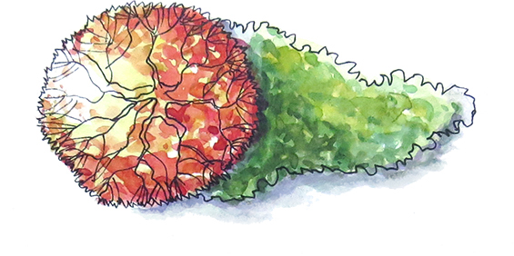 565x282 Watercolor Architectural Plan On Behance