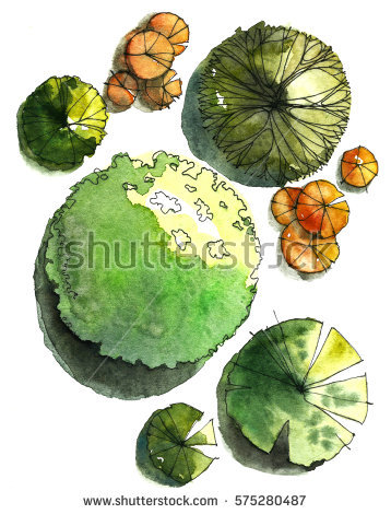 358x470 Collection Of Trees Plan View Drawing High Quality, Free