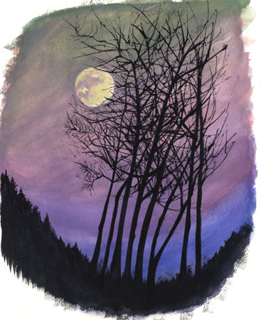 367x450 Shelby Crouse