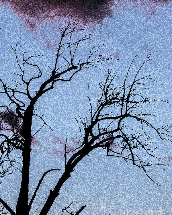 600x750 Watercolor Tree Silhouette Poster By Darleen Stry