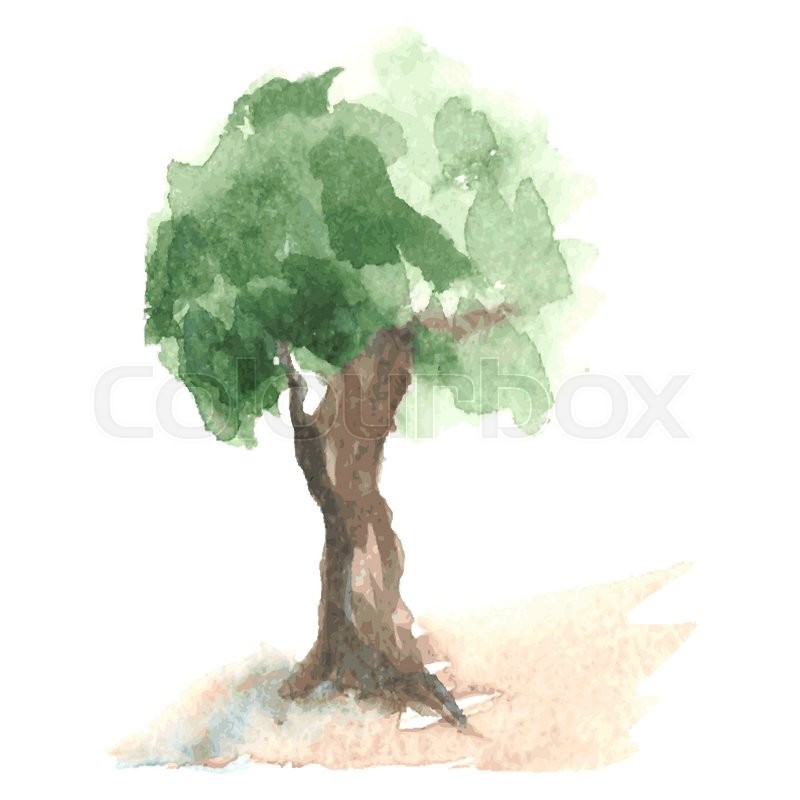 800x800 Old Watercolor Tree With Green Foliage Which Flutters On A Wind On