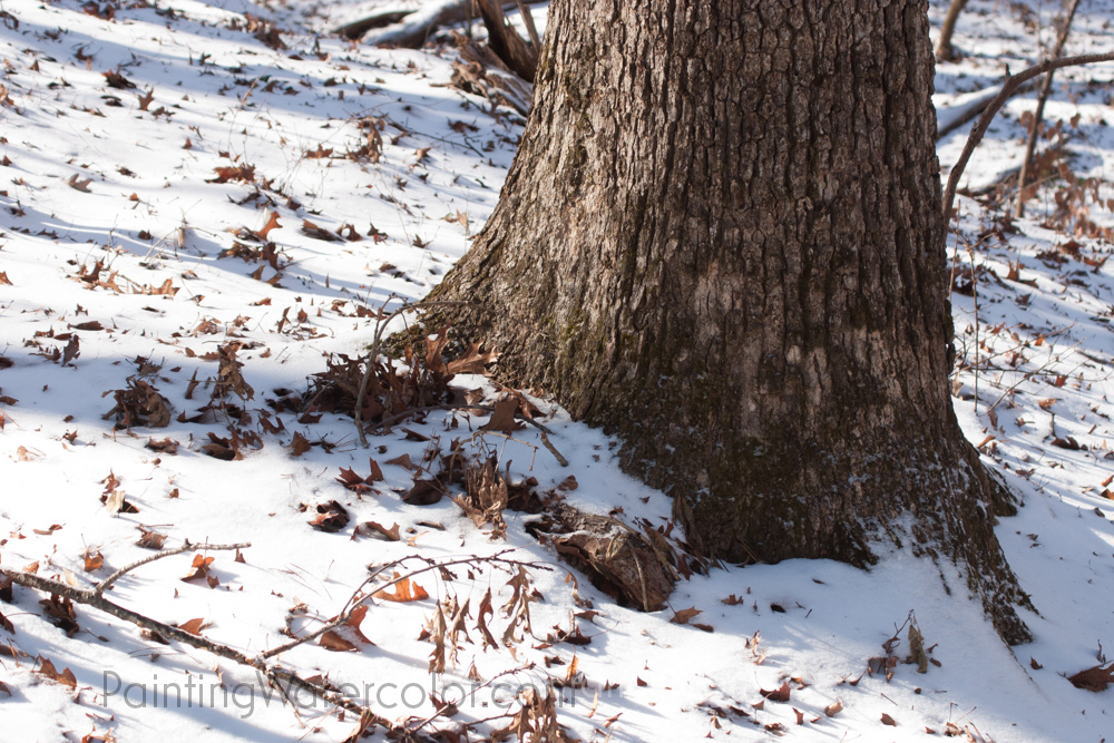 1000x667 Snow Tree Sketch Watercolor Painting Tutorial