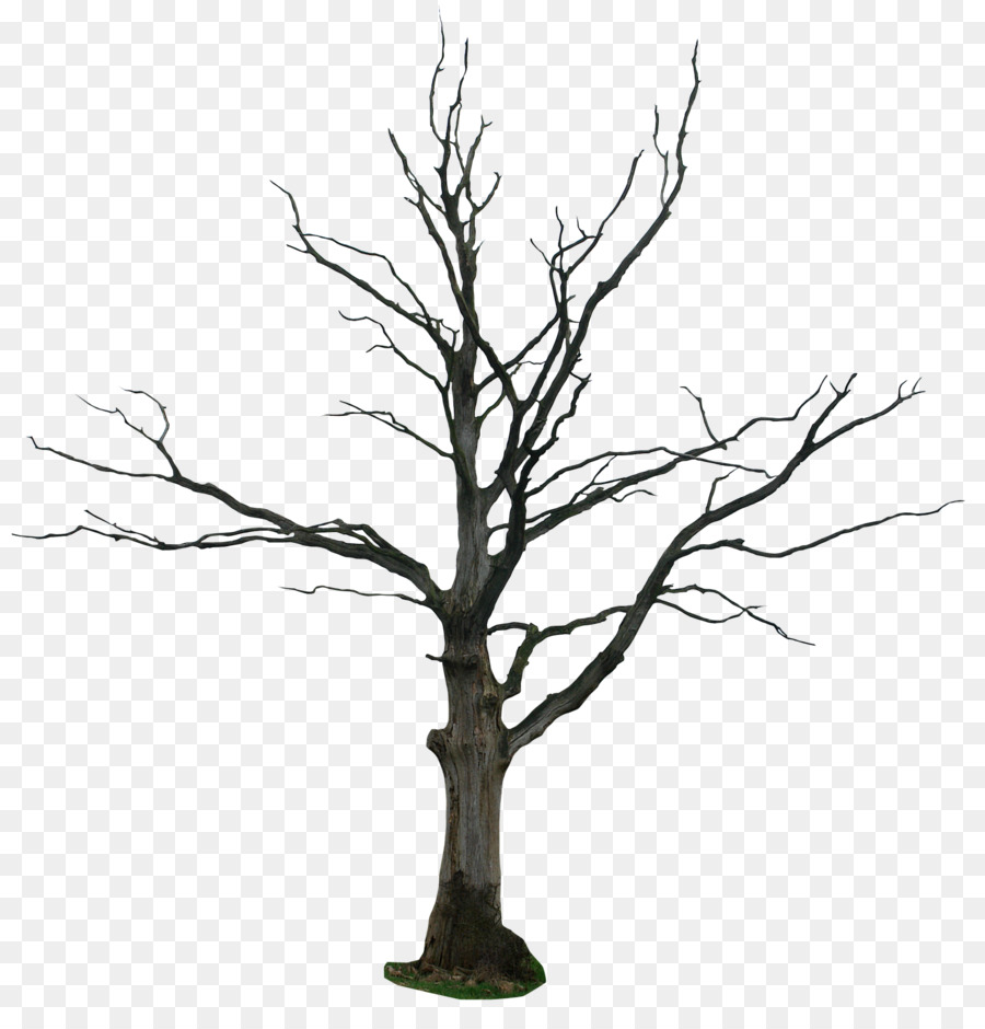 900x940 Tree Drawing Snag Clip Art