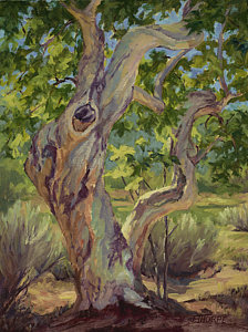 224x300 Tree Trunk Original Artwork Fine Art America