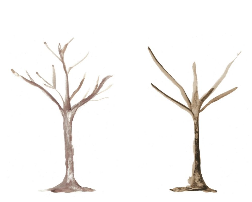 1000x801 Tree Trunk Templates