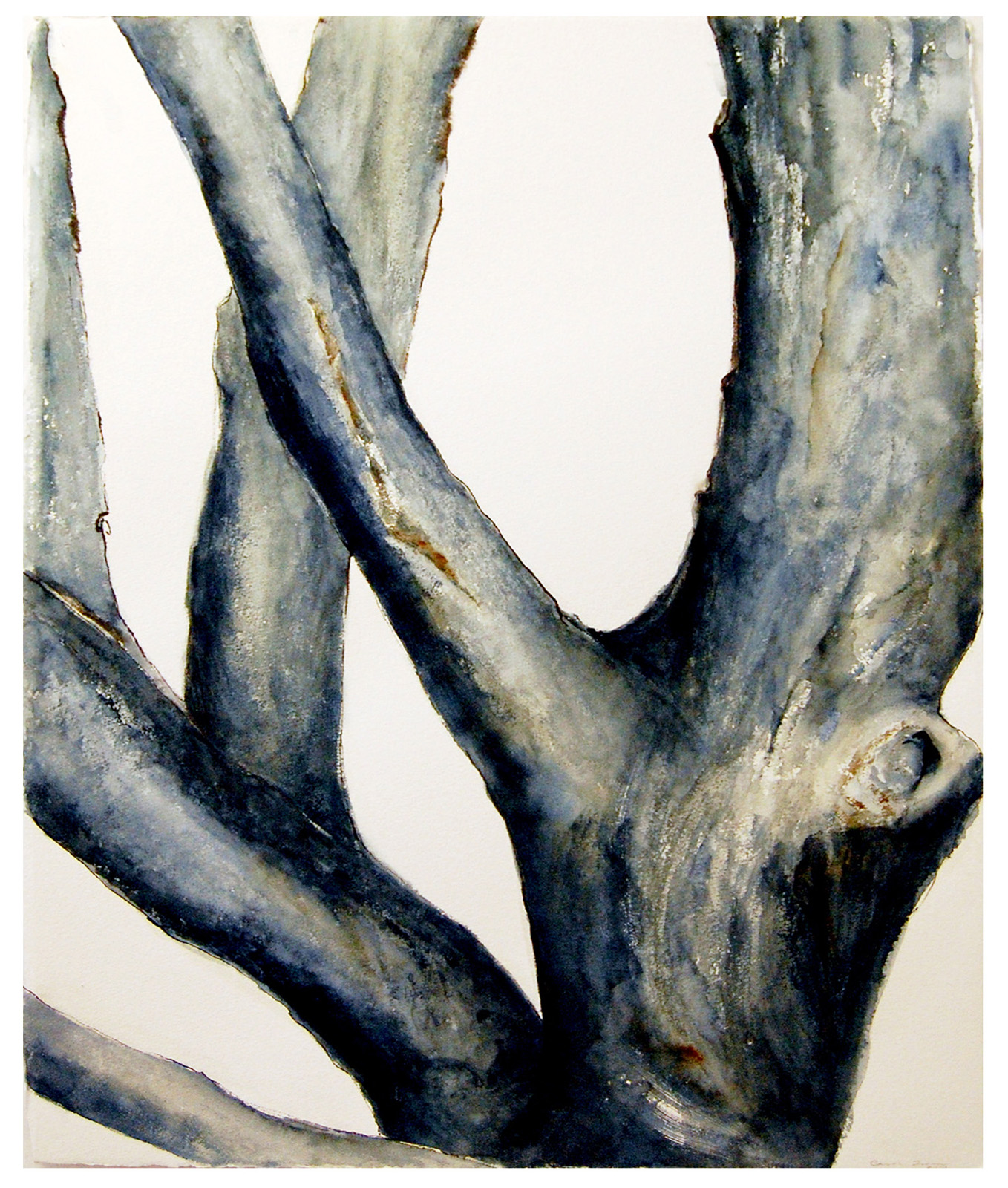 1358x1600 Tree Trunks Series I Watercolor And Ink On Arches