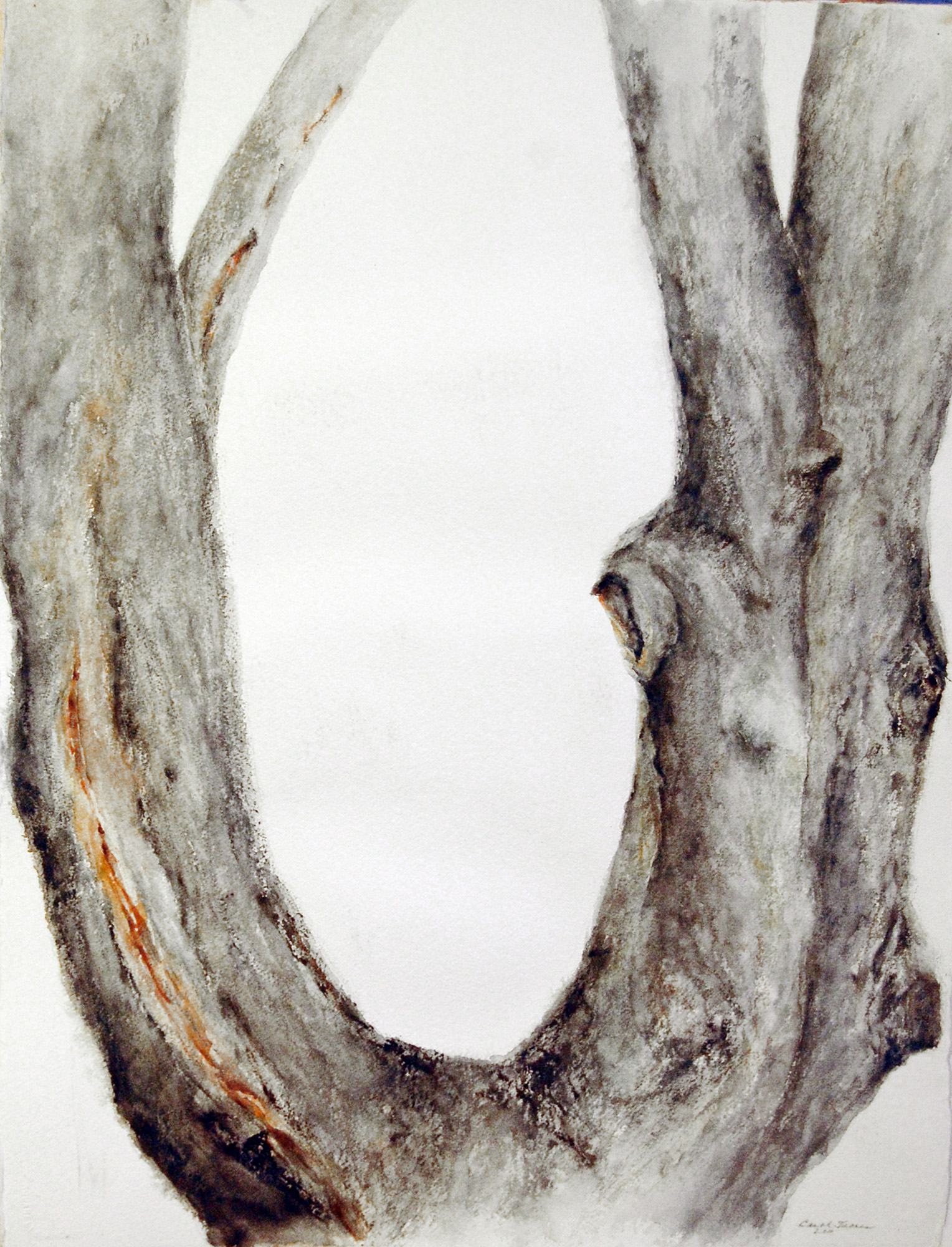 1528x2000 Tree Trunks Series Iv Watercolor On Arches Carol Troen