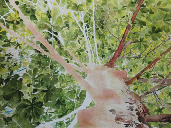 600x448 Watercolor Tree Step By Step, How To Paint Trees And Leaves With