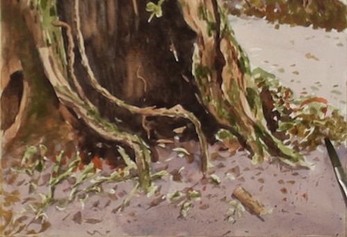 500x342 How To Paint Moss Covered Tree In Watercolour Online Art Lessons