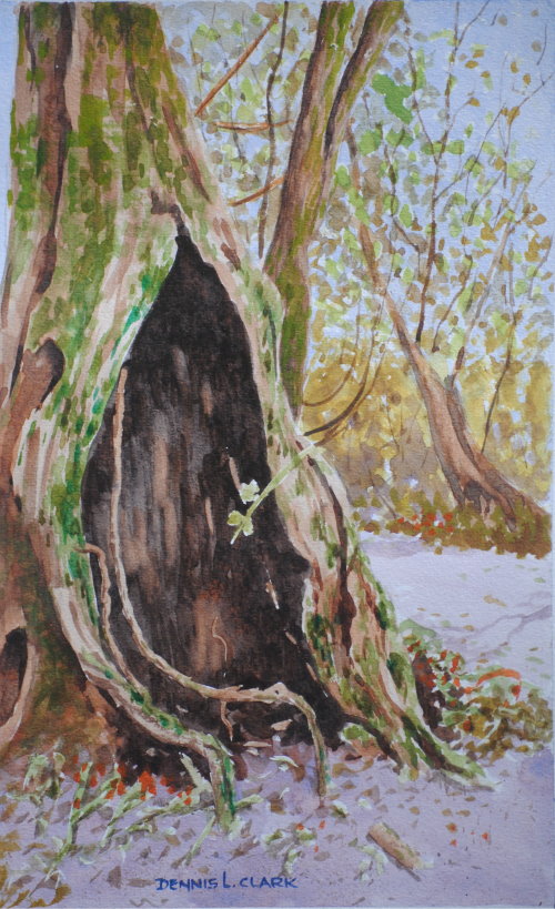 500x819 How To Paint Moss Covered Tree In Watercolour