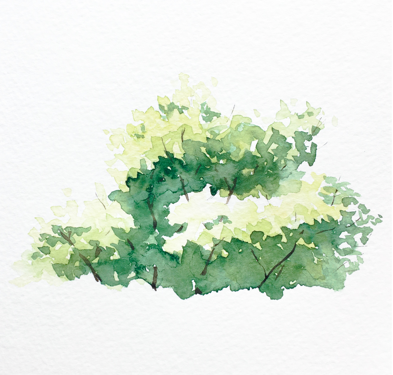 1322x1264 Watercolor Bushes And Trees In 4 Easy Steps Refine Art Blog