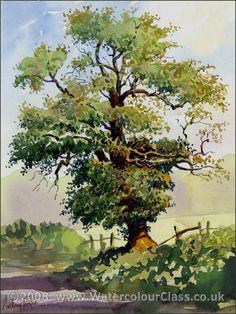 236x314 Various Trees Painted In Watercolour 1. Fascin... Arte