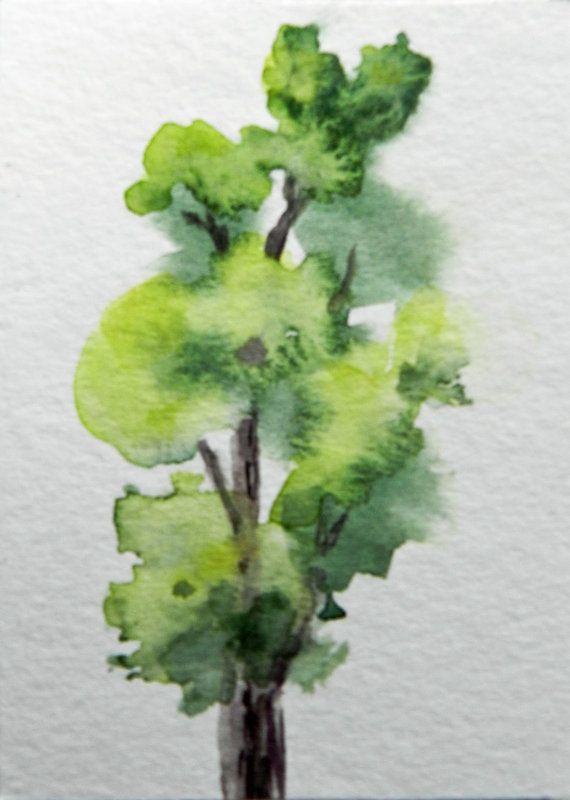 570x800 Watercolor Tree Crafty Art Watercolor Trees