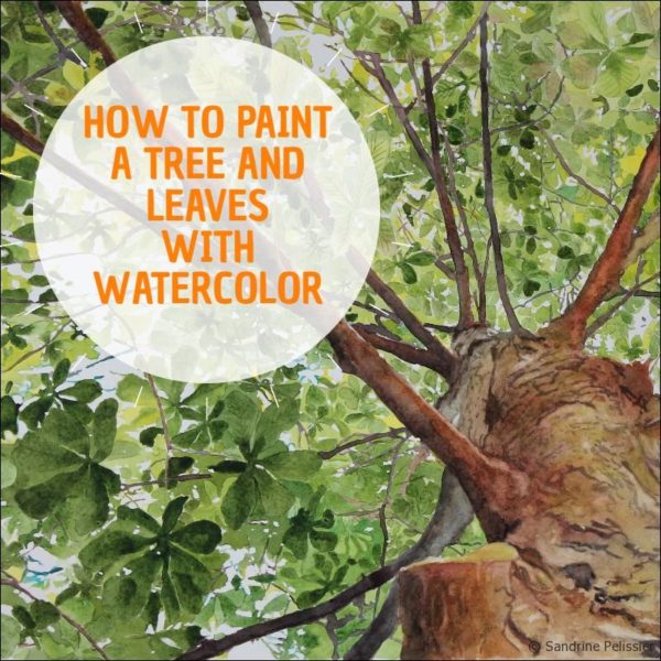 600x600 Watercolor Tree Step By Step, How To Paint Trees And Leaves With