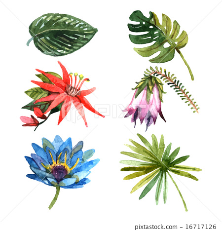 450x468 Tropical Plants Leaves Watercolor Sketch Icons