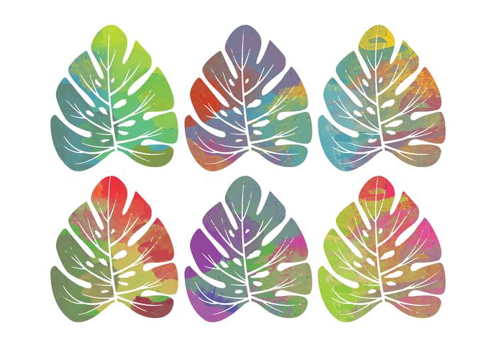 700x490 Vector Watercolor Tropical Leaves