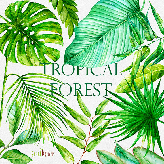 570x570 Watercolor Tropical Bright Leaves. Handpainted Clipart, Foliage