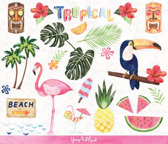 570x488 Watercolor Tropical Clip Art Summer Clipartpack, Flamingo