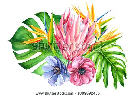 450x320 Bouquet Of Tropical Flowers Watercolor Painting Hand Drawing Blue