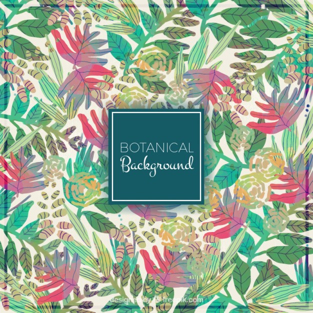 626x626 Download Vector