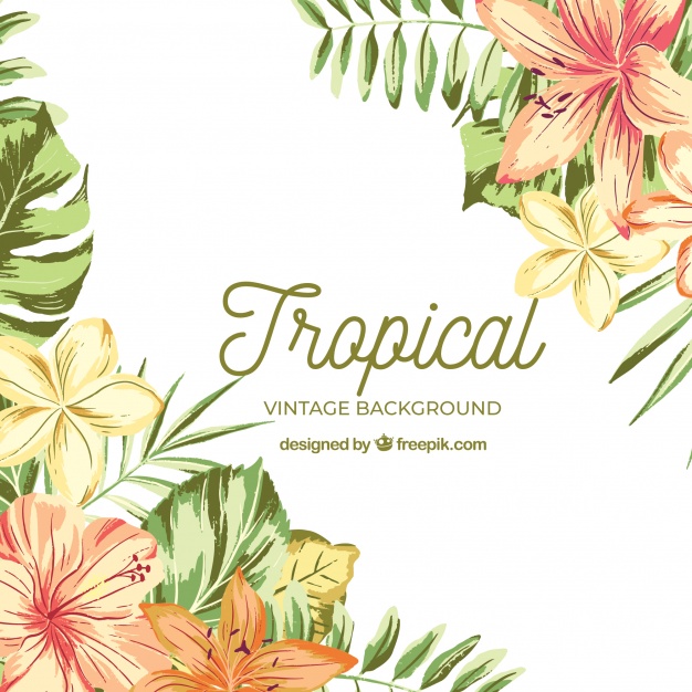 626x626 Watercolor Tropical Background With Vintage Style Vector Free