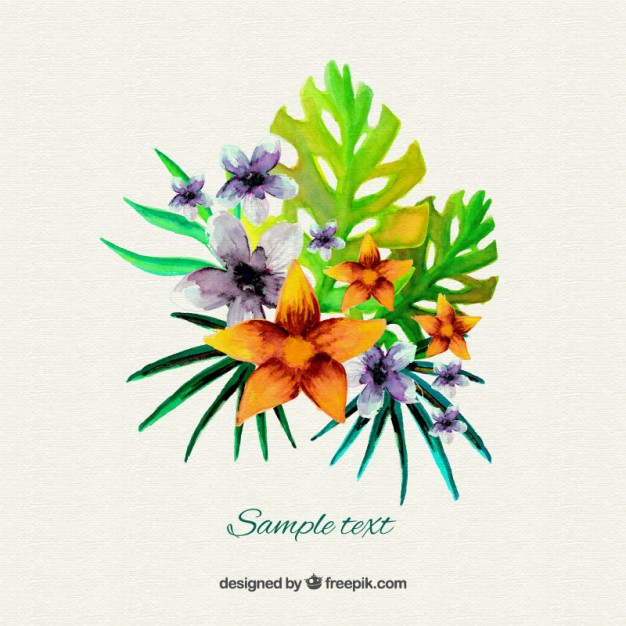 626x626 Watercolor Tropical Flowers Vector Free Download