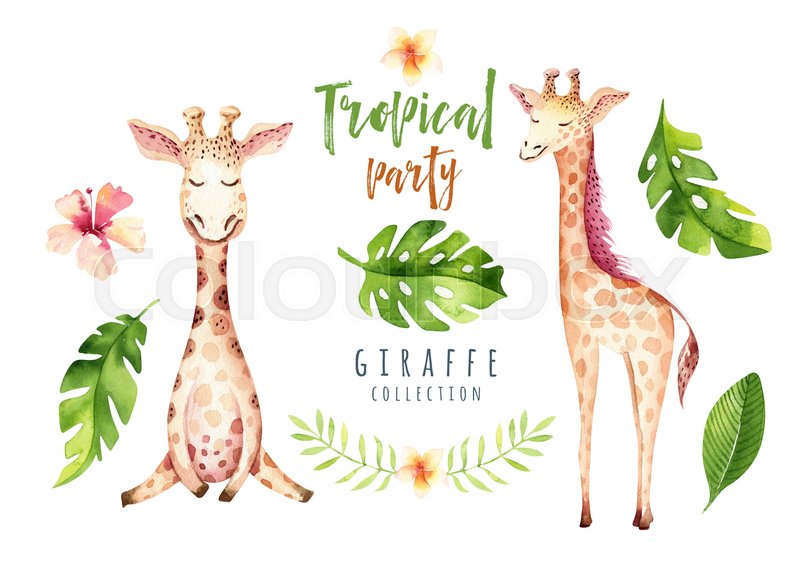 800x565 Hand Drawn Watercolor Tropical Plants Set And Giraffe. Exotic Palm