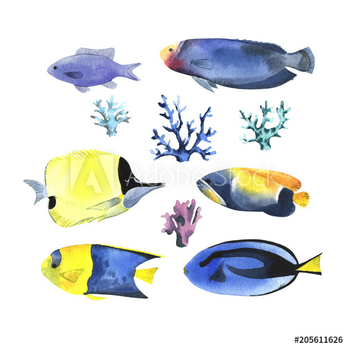 Watercolor Tropical Fish