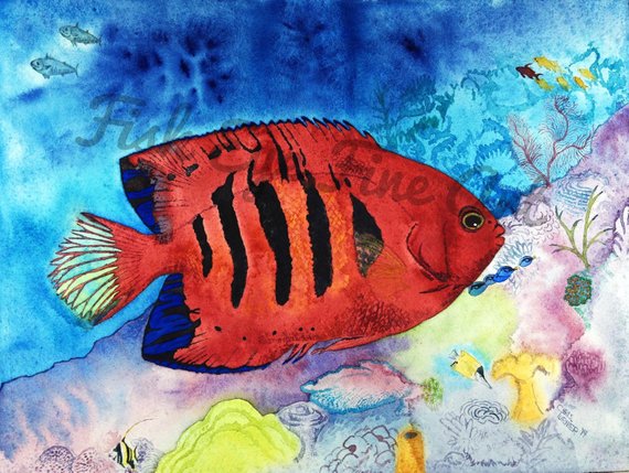 570x429 Flame Angel Fish Watercolor Tropical Fish Art Painting High Etsy