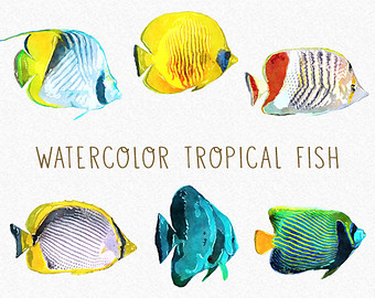 340x270 Watercolor Clipart Fish Free Collection Download And Share