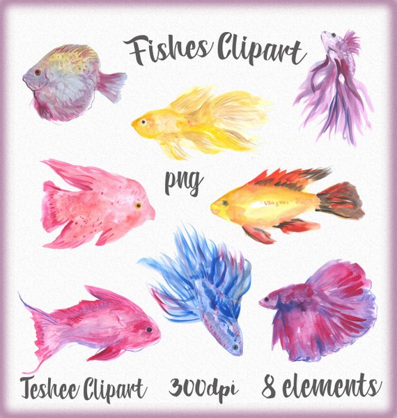 570x600 Watercolor Fishes Clipart Underwater World Clipart Fishes Etsy
