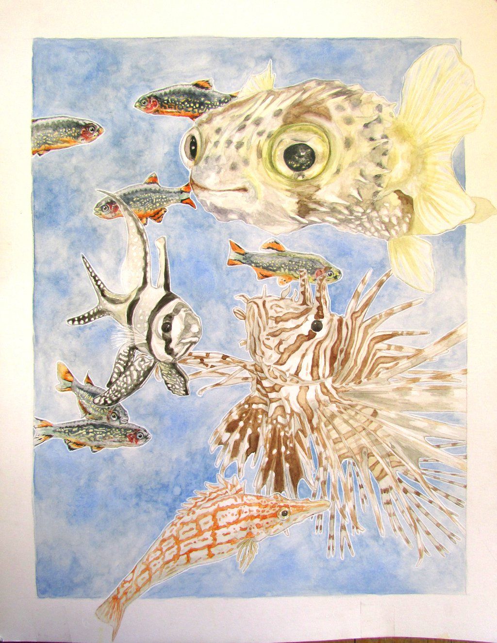 1024x1325 Watercolor Tropical Fish By Jewishperil
