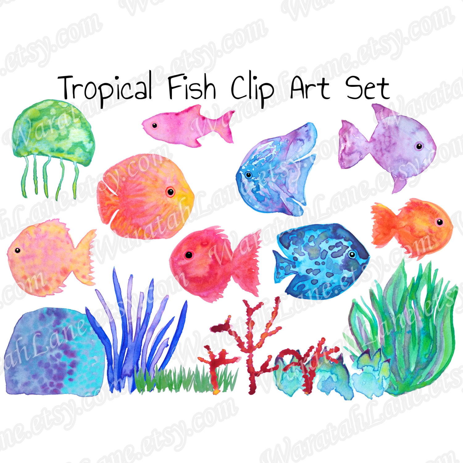 1500x1500 Watercolor Clipart Fish