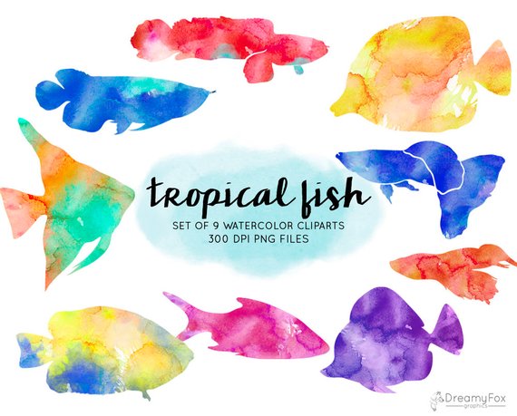 570x459 Watercolor Tropical Fish Clipart Tropical Fish Watercolor Etsy