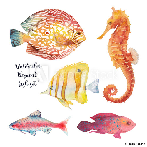 500x500 Watercolor Tropical Fish Set. Hand Drawn Underwater Animal