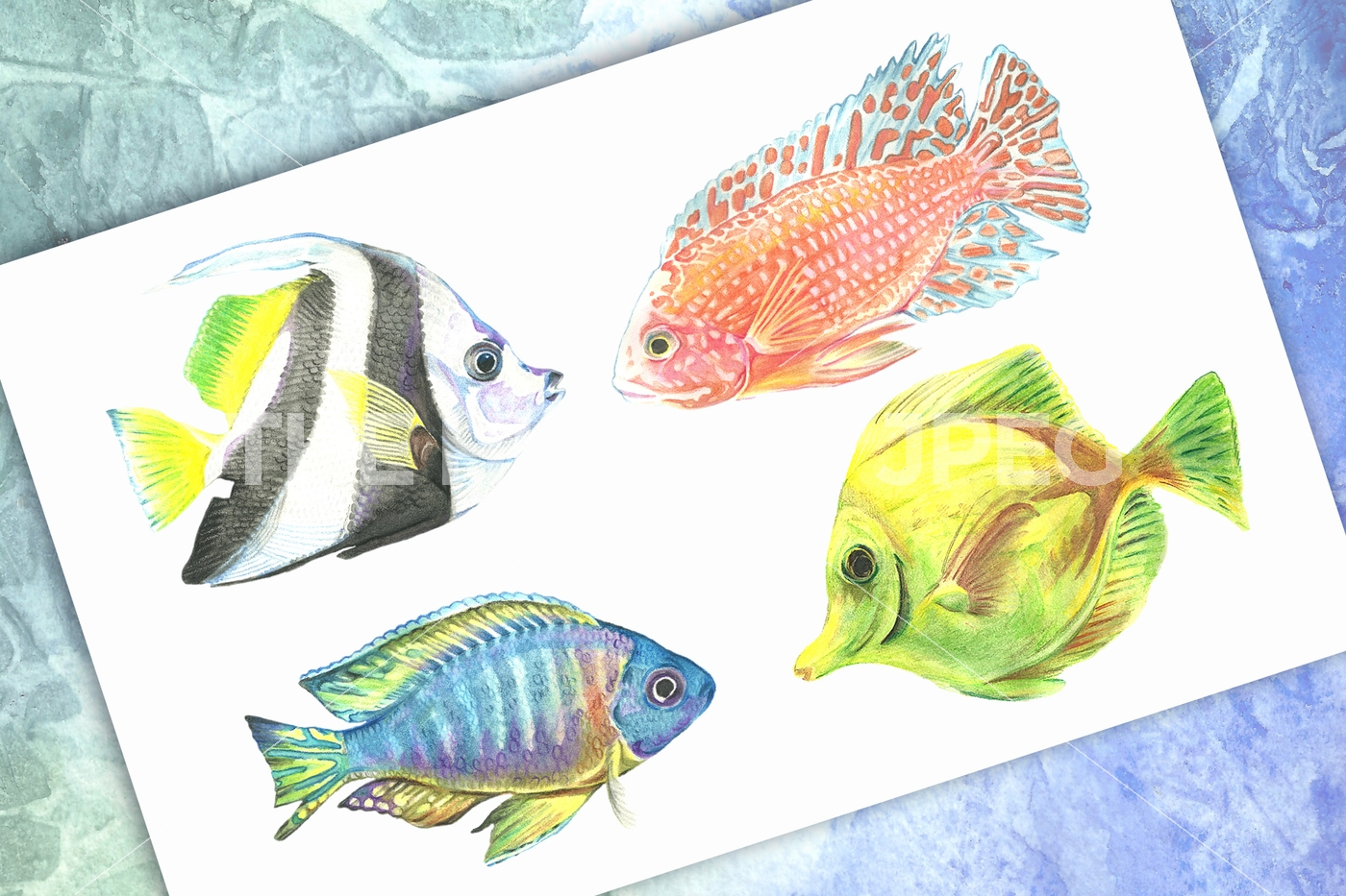 1400x933 Watercolor Tropical Fish. Sample Free By Art Watercolor