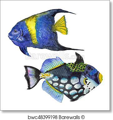362x382 Art Print Of Watercolor Aquatic Underwater Colorful Tropical Fish