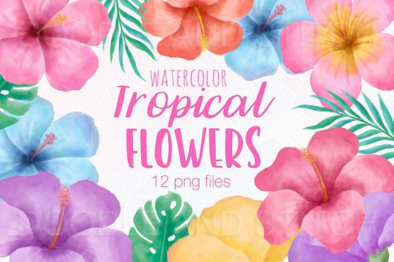 570x379 Tropical Flower Clipart Illustrations Watercolor Tropical Etsy