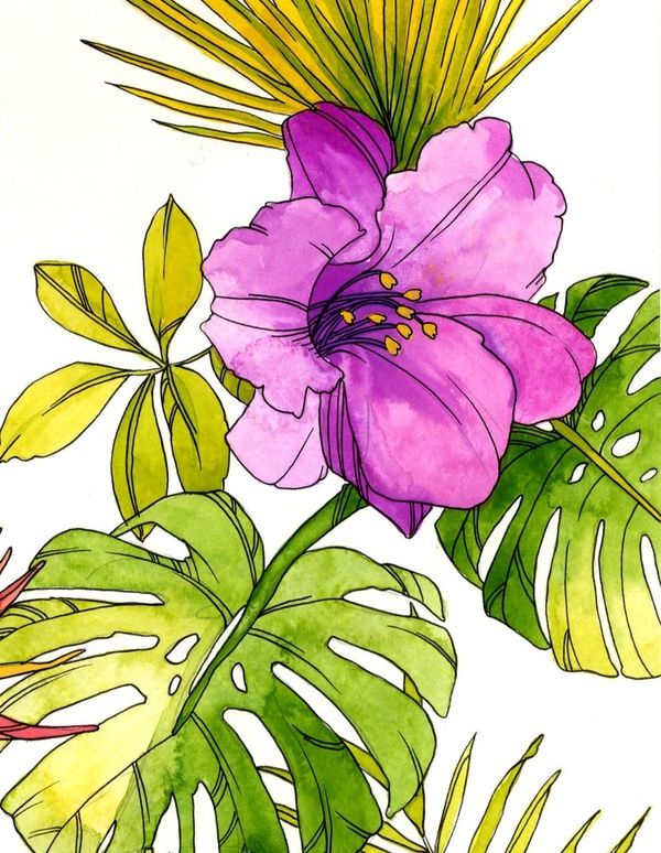 600x774 Tropical Flower Watercolor Doodleampdrawing Flower