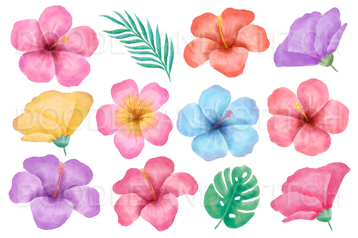 1160x772 Tropical Flower Watercolor Flower Illustrations By Doodle Art