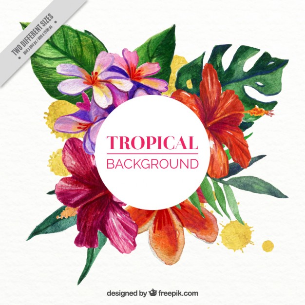 626x626 Tropical Flowers Background In Watercolor Effect Vector Free