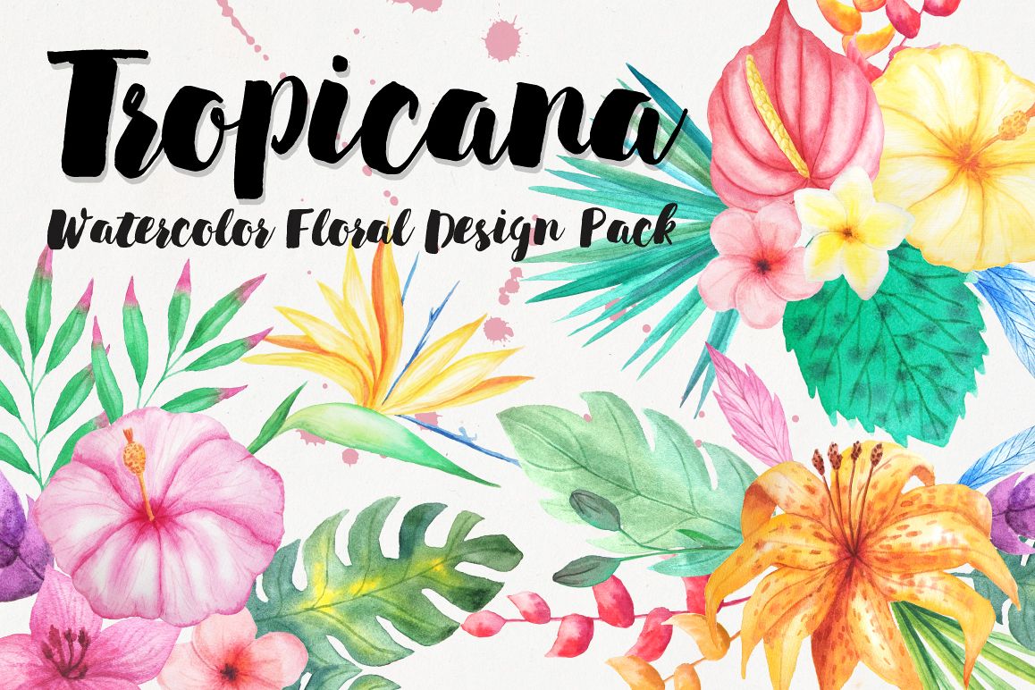 1158x772 Watercolor Tropical Floral Pack