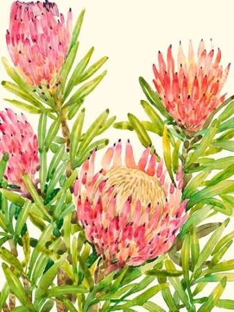 338x450 Watercolor Tropical Flowers Ii By Artist Otoole, Tim