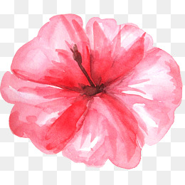260x260 Watercolor Tropical Flowers Png Images Vectors And Psd Files