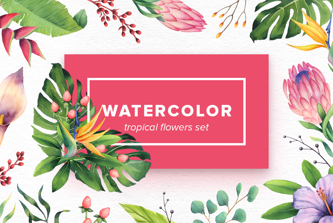 1159x776 Watercolor Tropical Flowers Set In Design Elements On Yellow