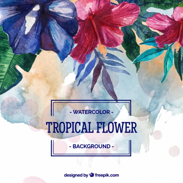 626x626 Watercolor Tropical Flower Background Stock Images
