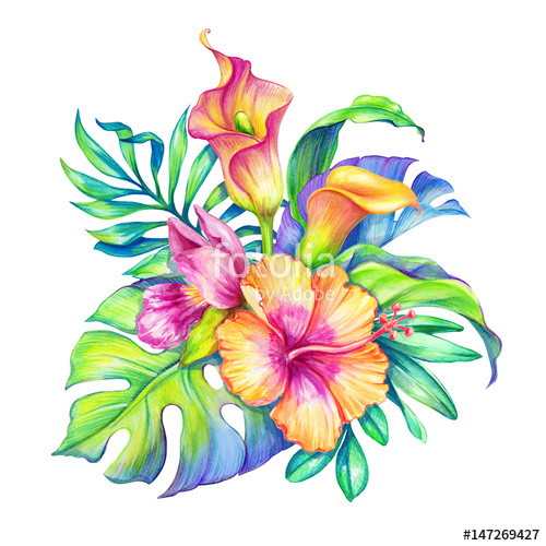 500x500 Watercolor Floral Illustration, Exotic Nature, Tropical Flowers