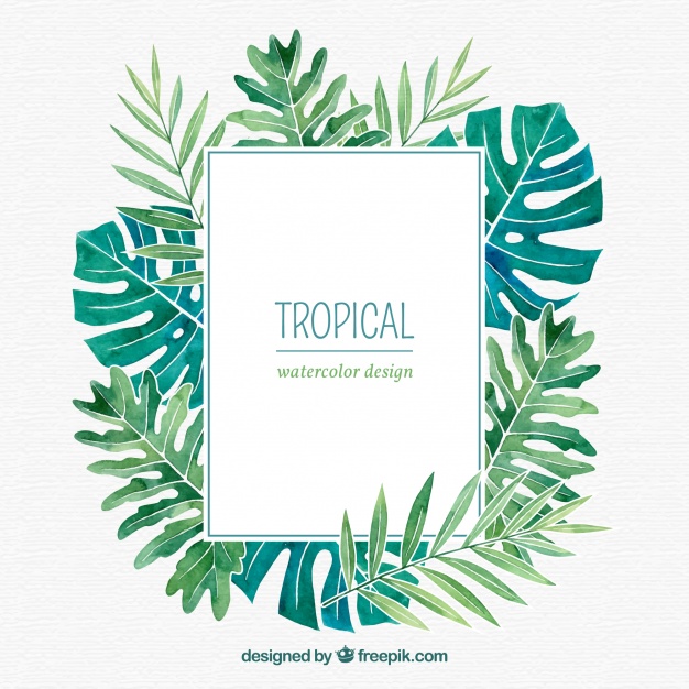 626x626 Tropical Leaves Frame With Watercolor Style Vector Free Download