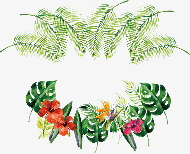 650x528 Watercolor Tropical Bottle Border, Vector Png, Tropical Plants